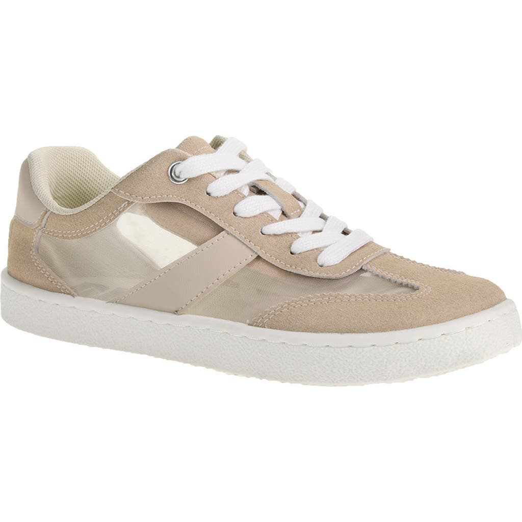 Dirty Laundry Sunstar Mesh Sneaker In Natural