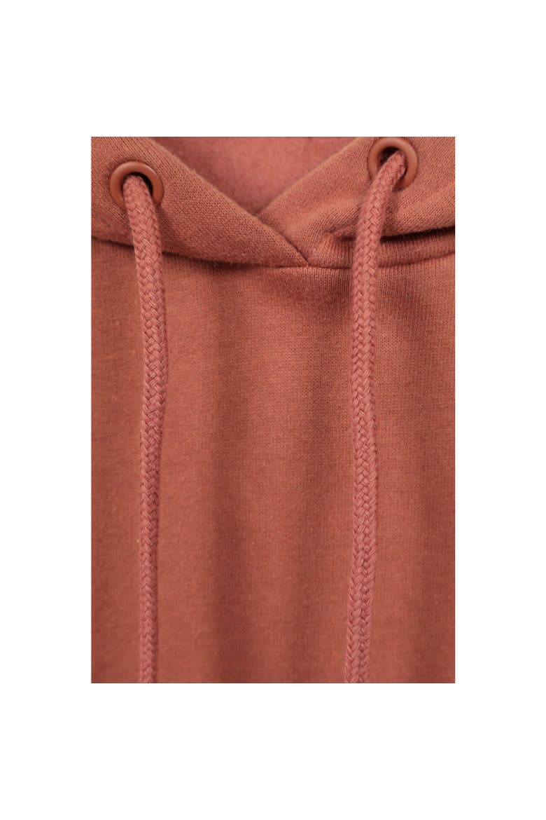 Spirit Of Adventure Printed Hoodie, Alternate, color, Rust