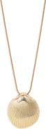 Nordstrom Scallop Shell Pendant Necklace