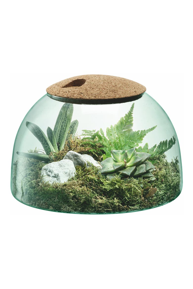 Canopy Closed Garden Vase, Alternate, color, CLEAR