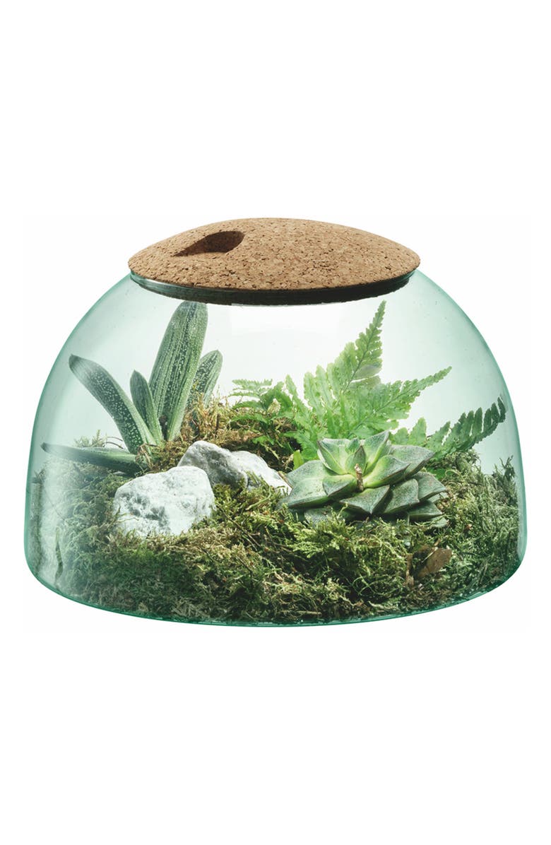 LSA Canopy Closed Garden Vase, Alternate, color, Clear