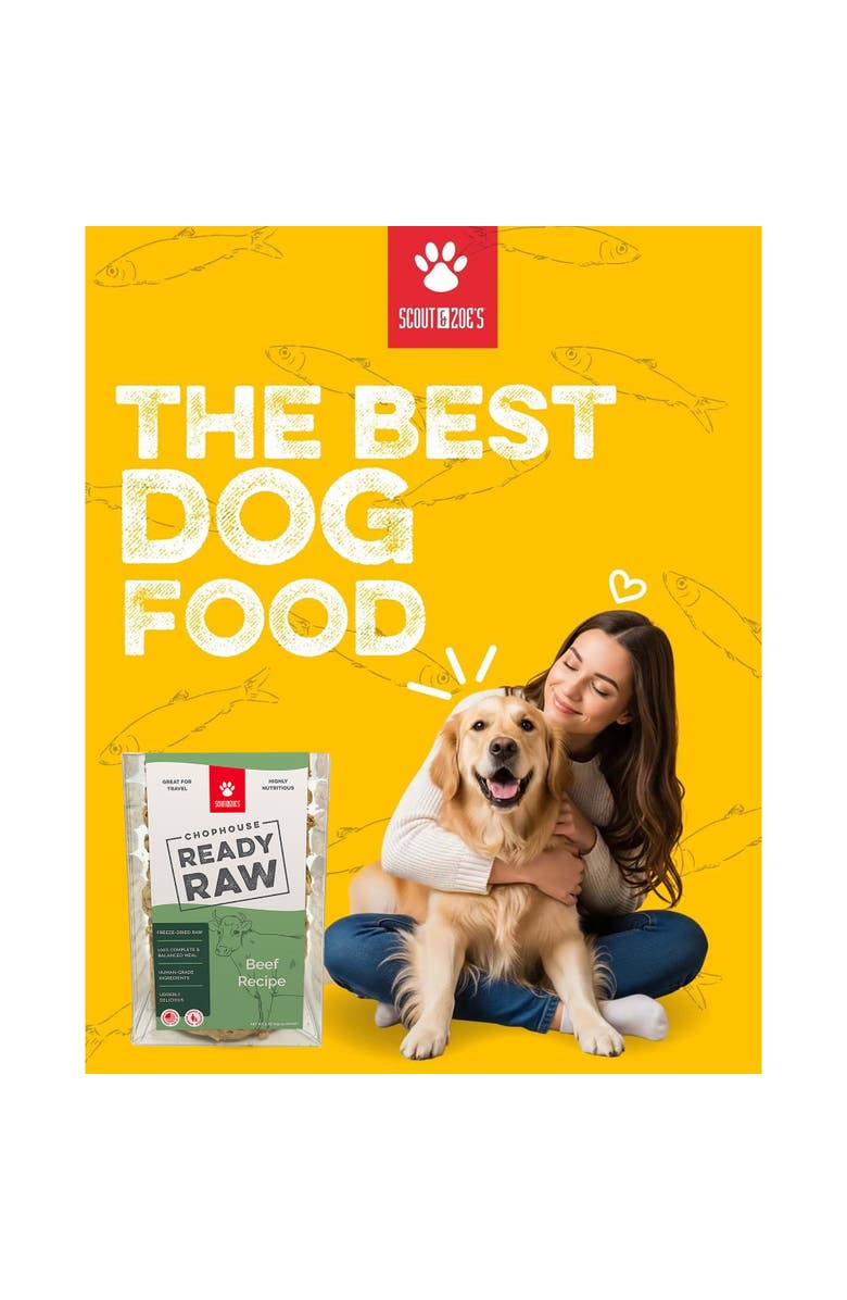 Scout & Zoe's Chophouse Ready Raw, Beef, 9 Dog Food Freeze Dried Patties, Alternate, color, Multicolored