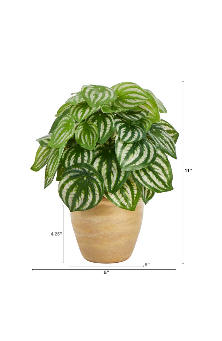 NEARLY NATURAL 11-in Watermelon Peperomia Artificial Plant in Ceramic Planter, Alternate, color, Green