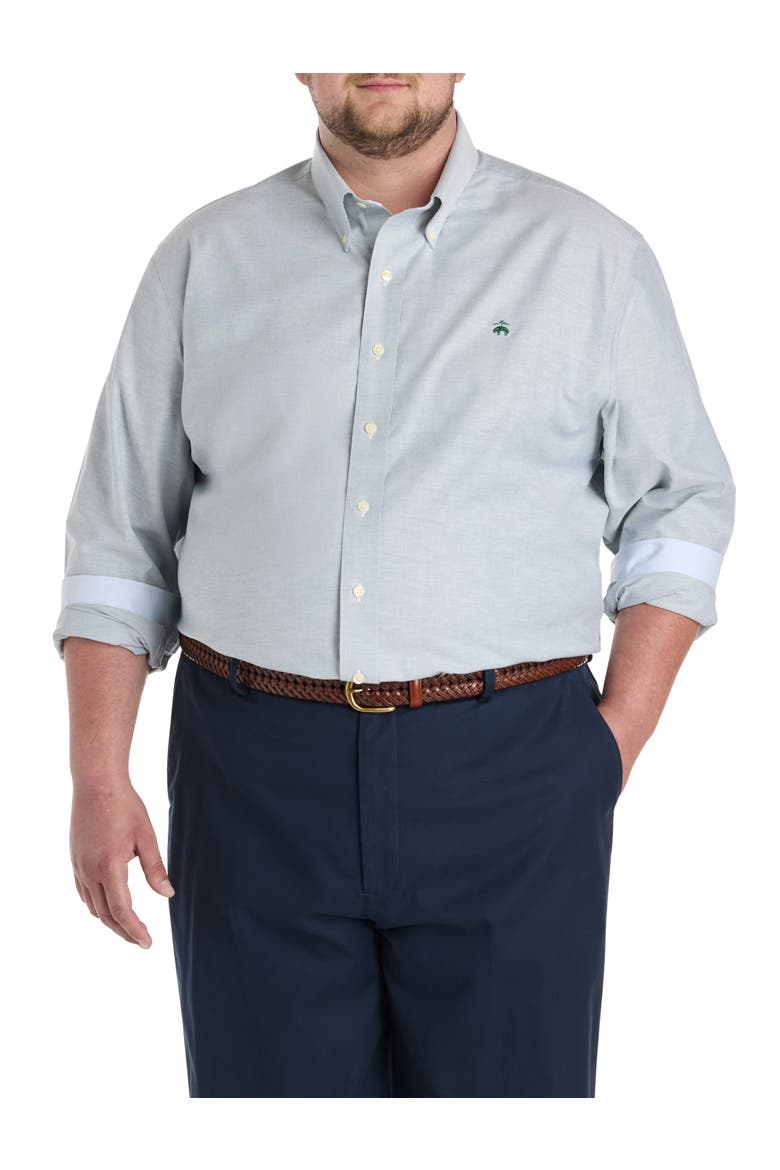 Big & Tall Non-Iron Solid Oxford Sport Shirt, Main, color, GREEN HERON SOLID
