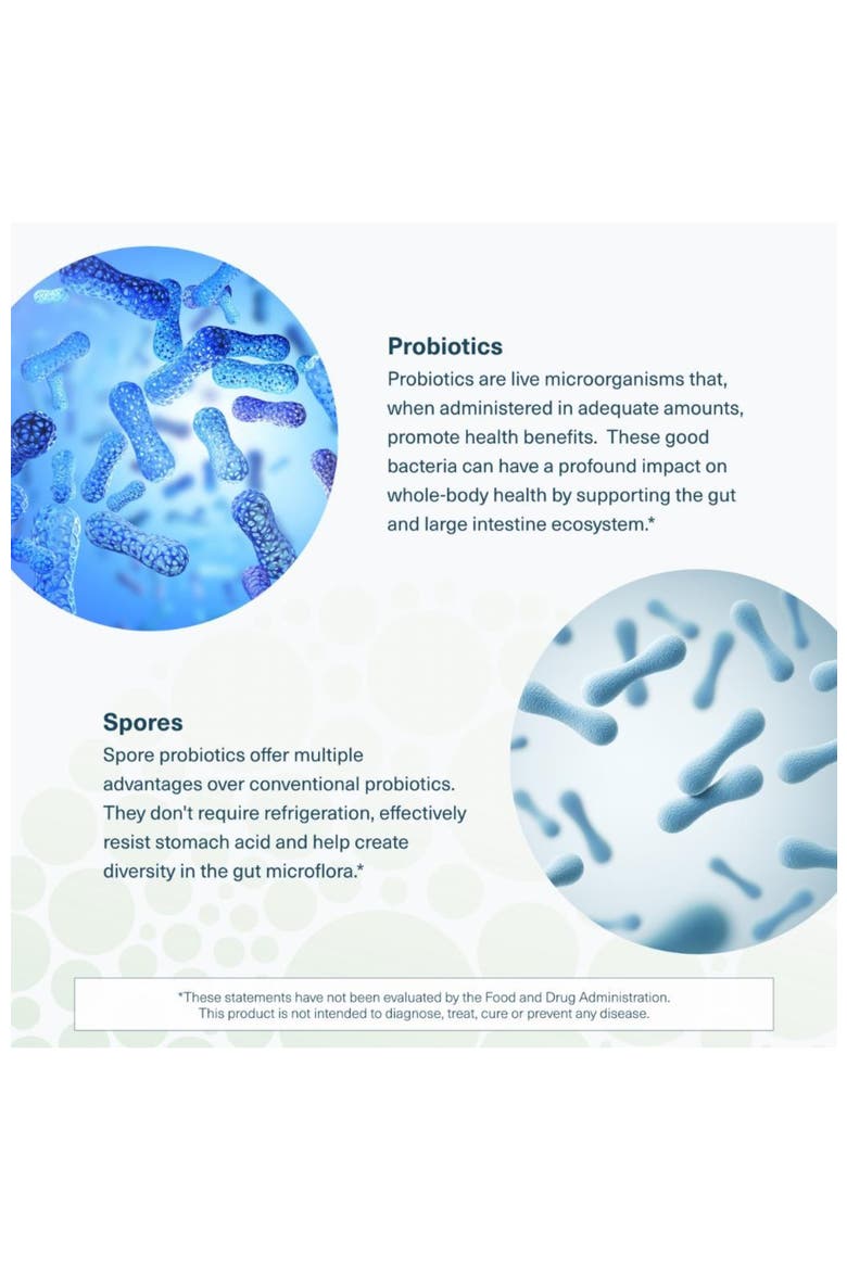 Spore Probiotic Gut Health Supplement with Prebiotics 60 Vegetarian Capsules, Alternate, color, None