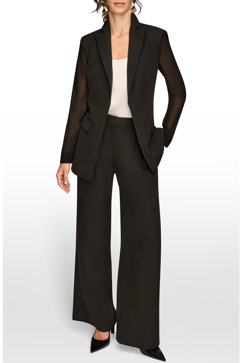 Sheer Sleeve Blazer, Alternate, color, BLACK