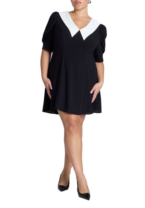 Contrast Collar Mini Dress (Plus Available)