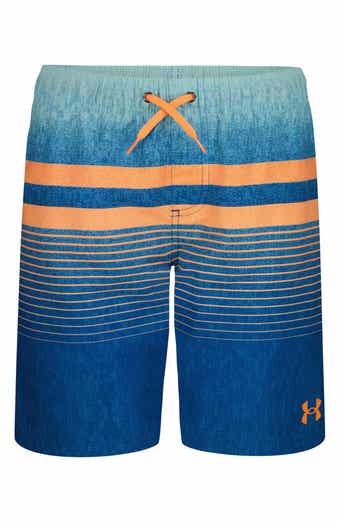 Under Armour Kids' Stripe Volley Swim Trunks