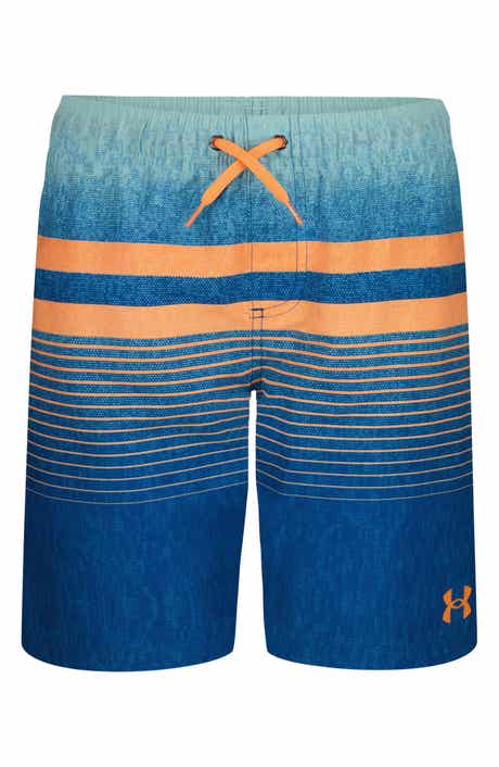 Under Armour Kids' Stripe Volley Swim Trunks
