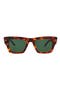selected Tortoise Tortoise Green