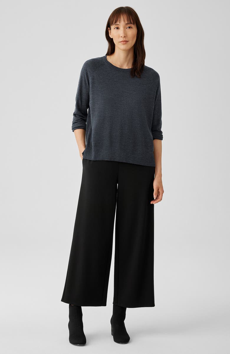 Eileen Fisher Raglan Sleeve Merino Wool Pullover, Alternate, color, Char