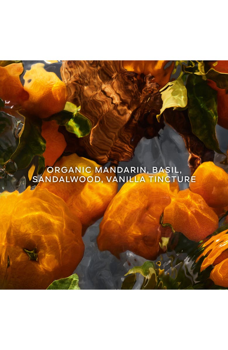 Guerlain Aqua Allegoria Mandarine Basilic Forte Eau de Parfum Set $178 Value, Alternate, color,