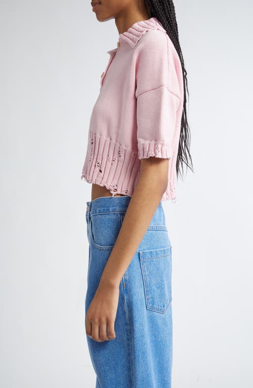 Shop Marni Distressed Cotton Polo Sweater In Pink