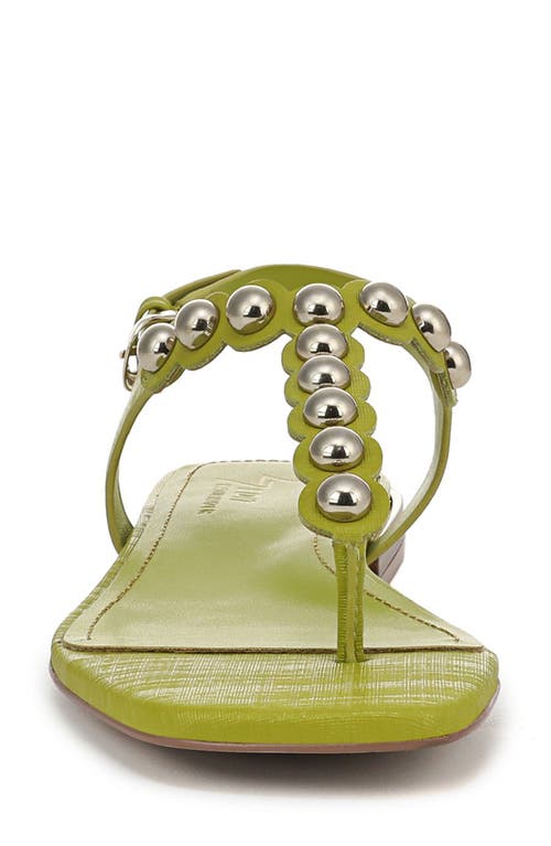 27 Edit Naturalizer Nara Slingback Sandal In Chartreuse