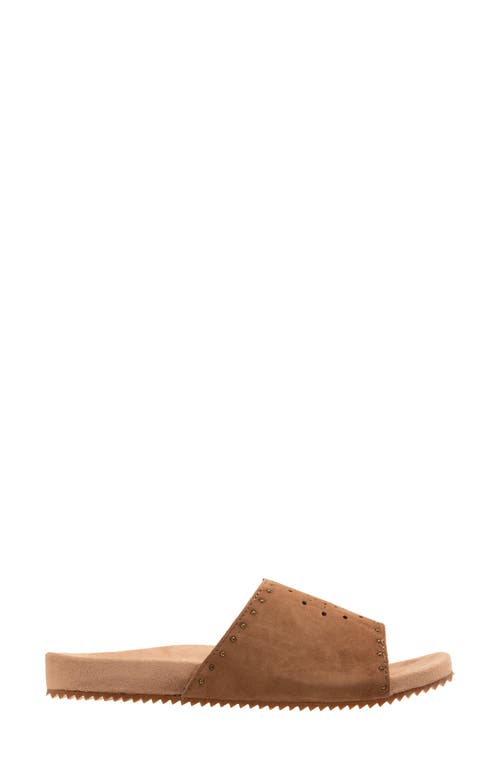 Revitalign Sofia Stud Slide Sandal In Brown