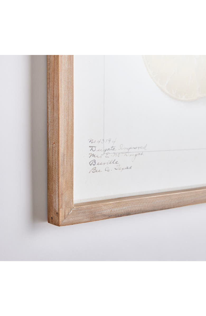 Napa Home & Garden Citrus Study Framed Wall Art Set of 4, Alternate, color, Yellow