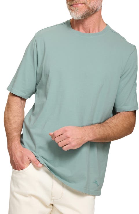 Kauai Keys Cotton T-Shirt (Big & Tall)