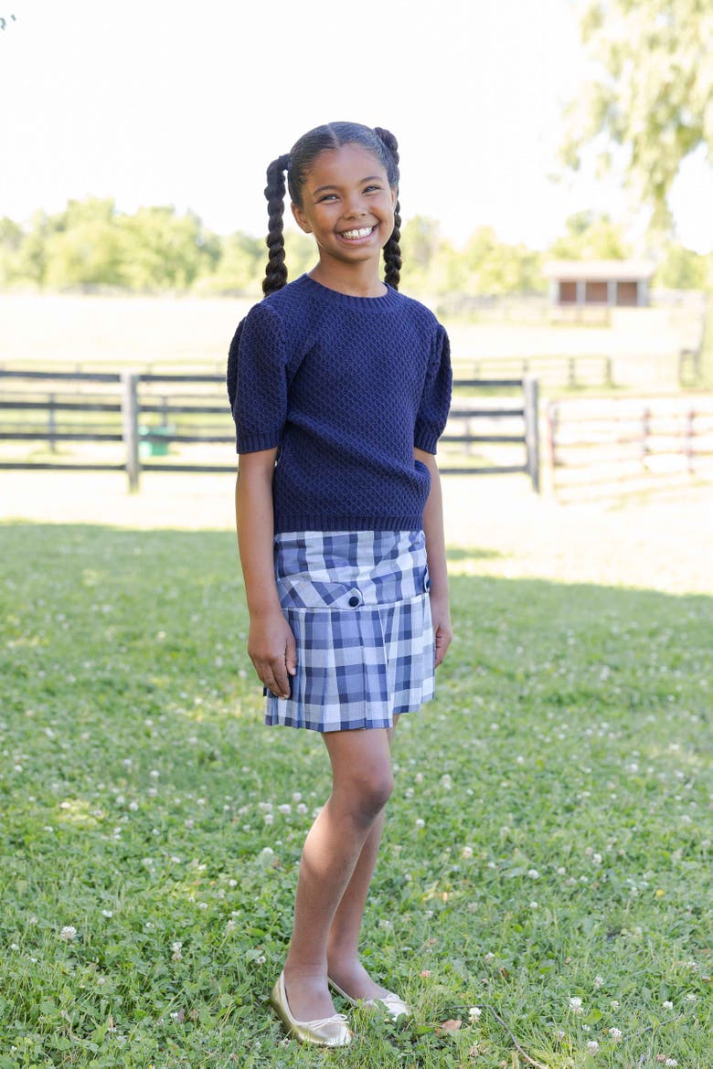 Plaid Pleated Skirt, Alternate, color, Blue & Navy Plaid