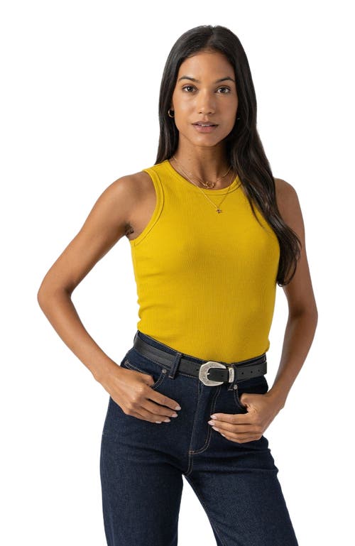 Saint + Sofia Nova Racer Vest In Gold