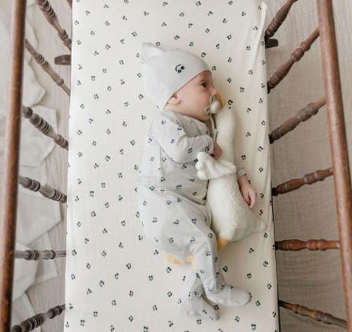 Ely's & Co. Berry Collection In Blue