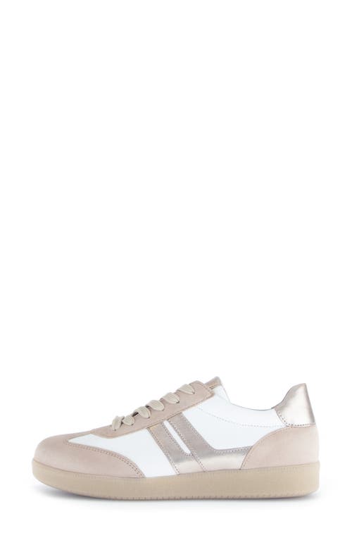 Shop Gabor 63.300 Sneaker In Puder