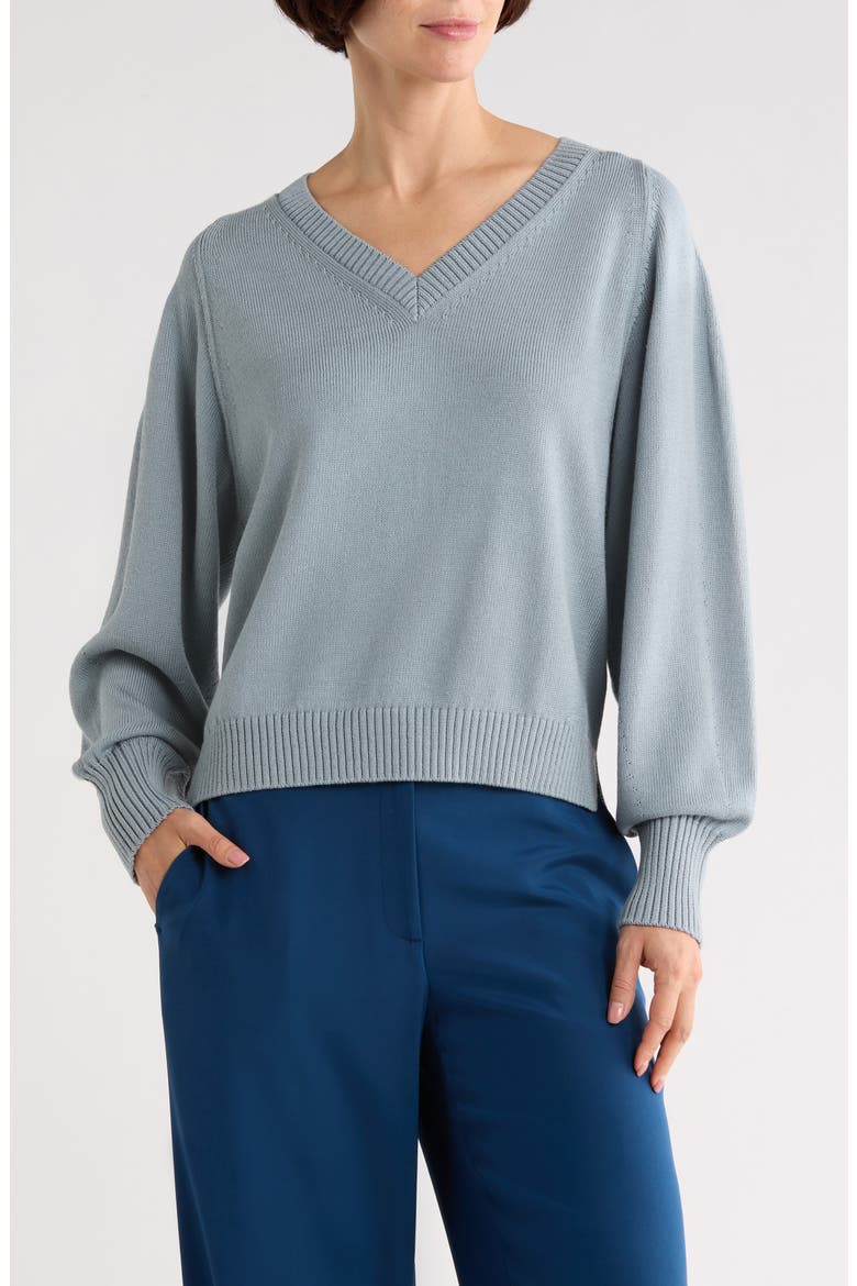 V-Neck Raglan Sleeve Sweater, Main, color, DEEP BLUE DUST