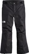 The North Face Kids' Freedom Waterproof Insulated Pants