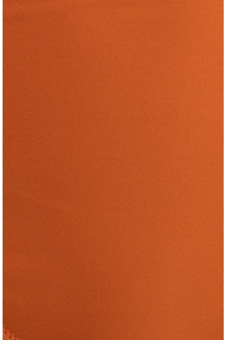 Zahara High Waist Bikini Bottoms, Alternate, color, SIENNA