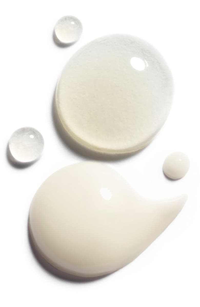 CHANEL LE BLANC <br />Intensive Brightening Spot Treatment Day & Night Duo, Alternate, color,