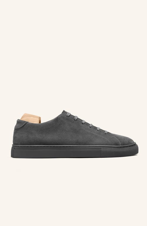 Myrqvist Oaxen Monochrome Ii Sneakers In Gray