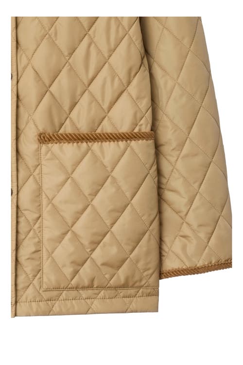 Burberry Padded Jackets With Corduroy Collar In Neutral