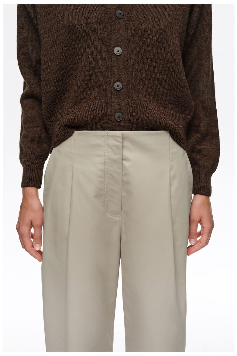 Straight-Leg Pleated Trousers, Alternate, color, LIGHT STONE