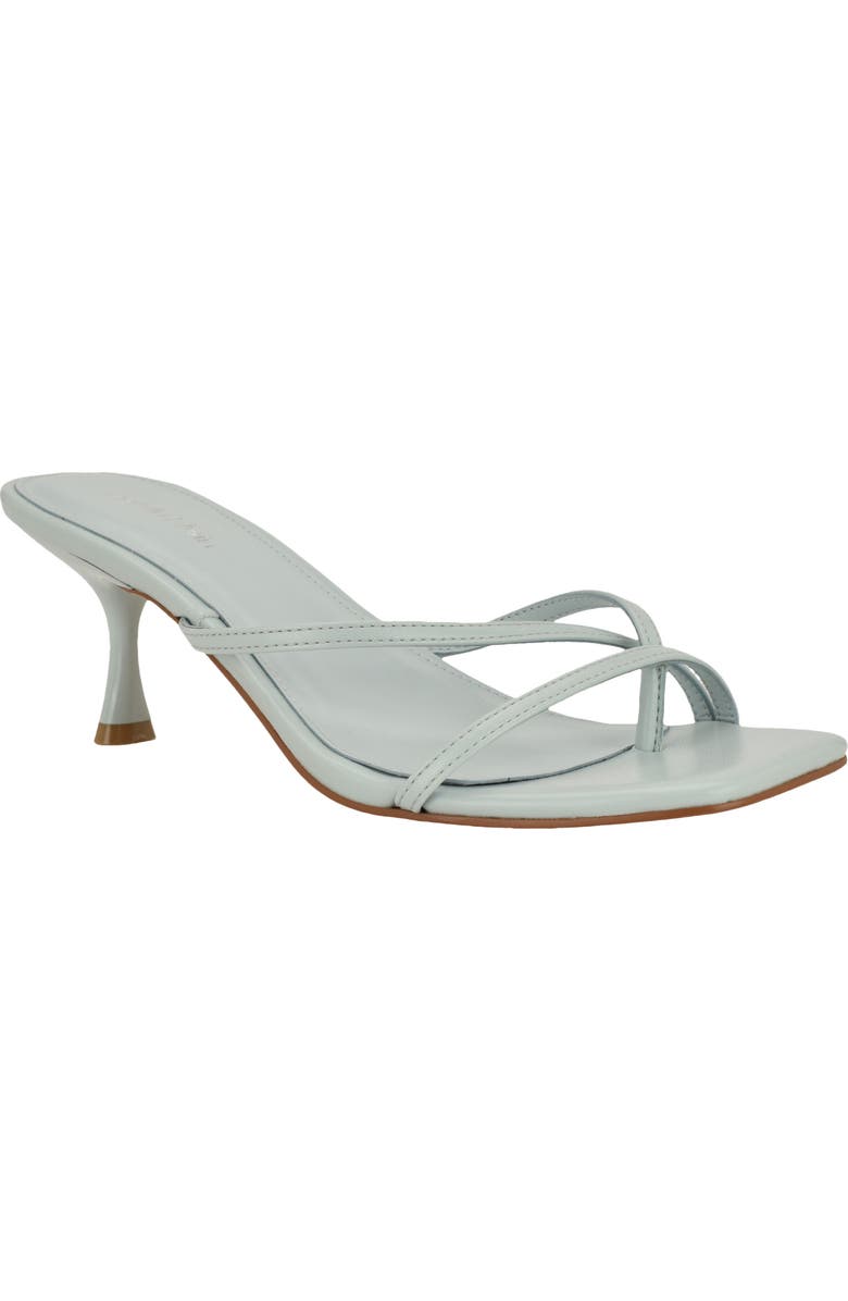 Calvin Klein Axella Toe Loop Sandal, Main, color, Light Green