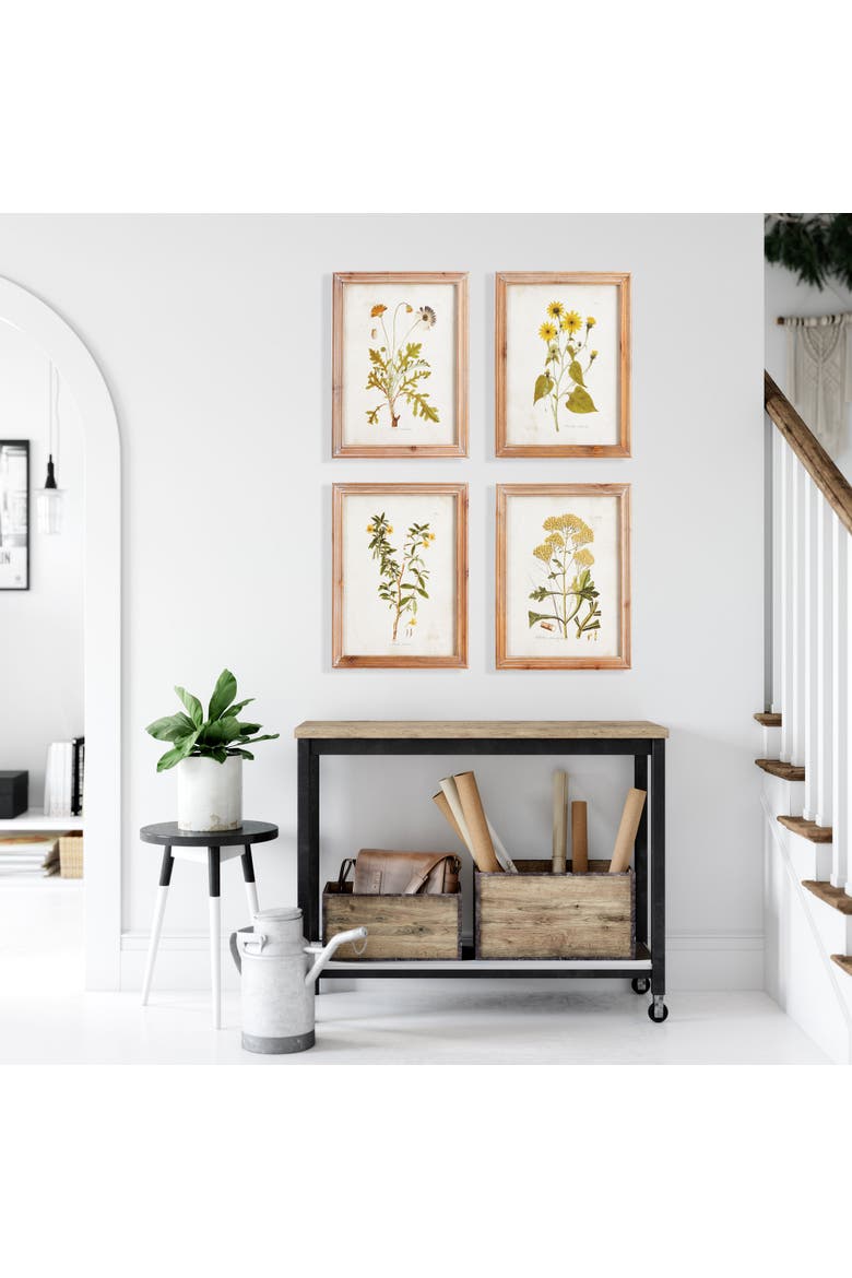 Golden Wildflower Study Set of 4, Alternate, color, Green