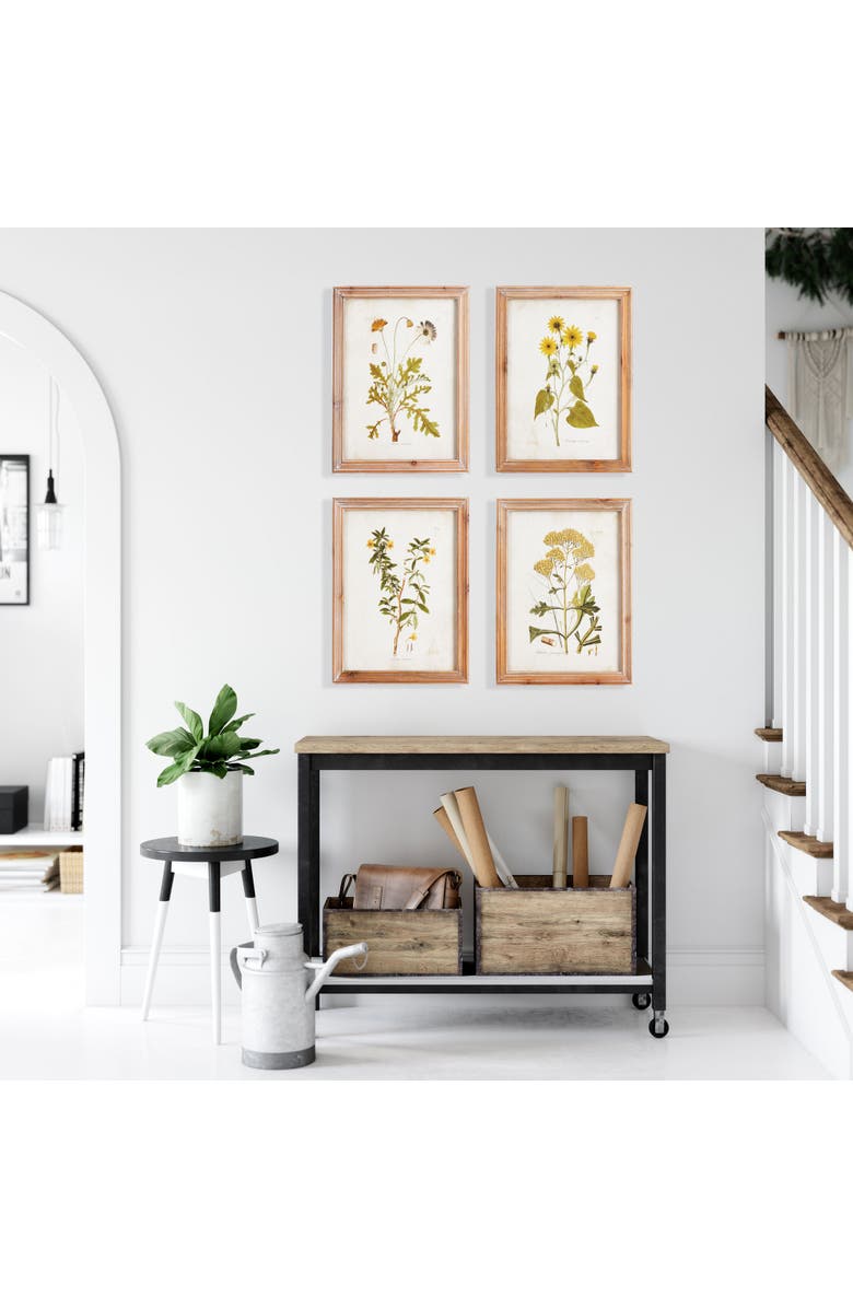 Napa Home & Garden Golden Wildflower Study Set of 4, Alternate, color, 