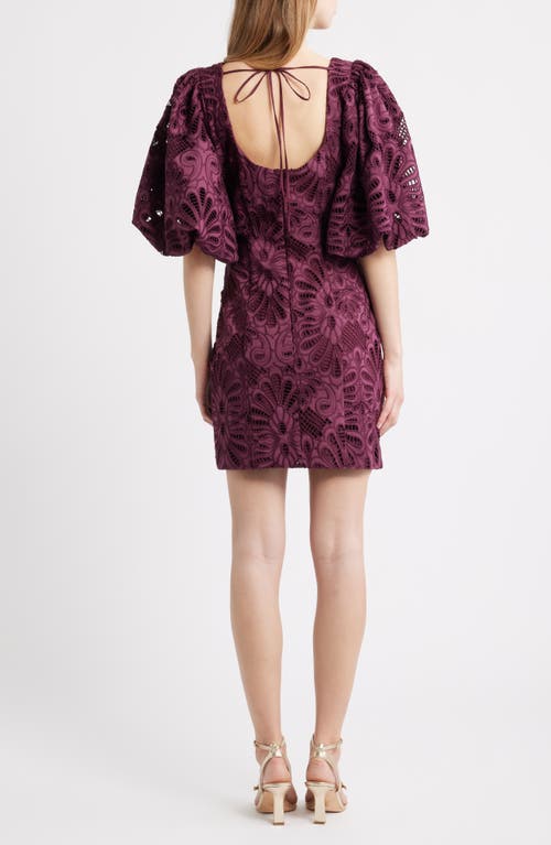 Ciebon Kesia Embroidered Paisley Minidress In Multi