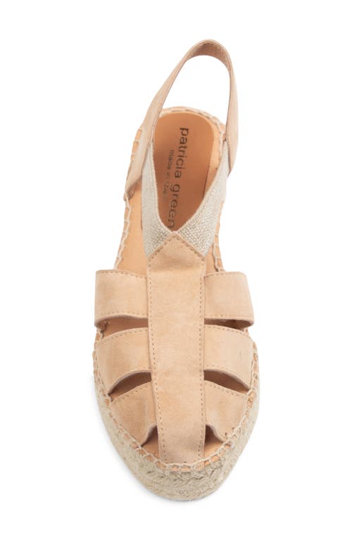 Patricia Green Parken Fisherman Platform Sandal In Tan Suede
