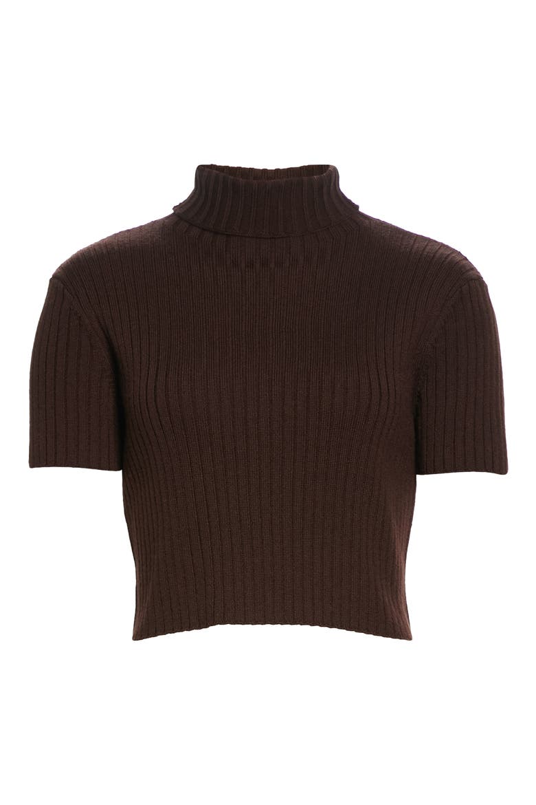 Lilou Crop Wool Blend Turtleneck Top, Alternate, color, BARK