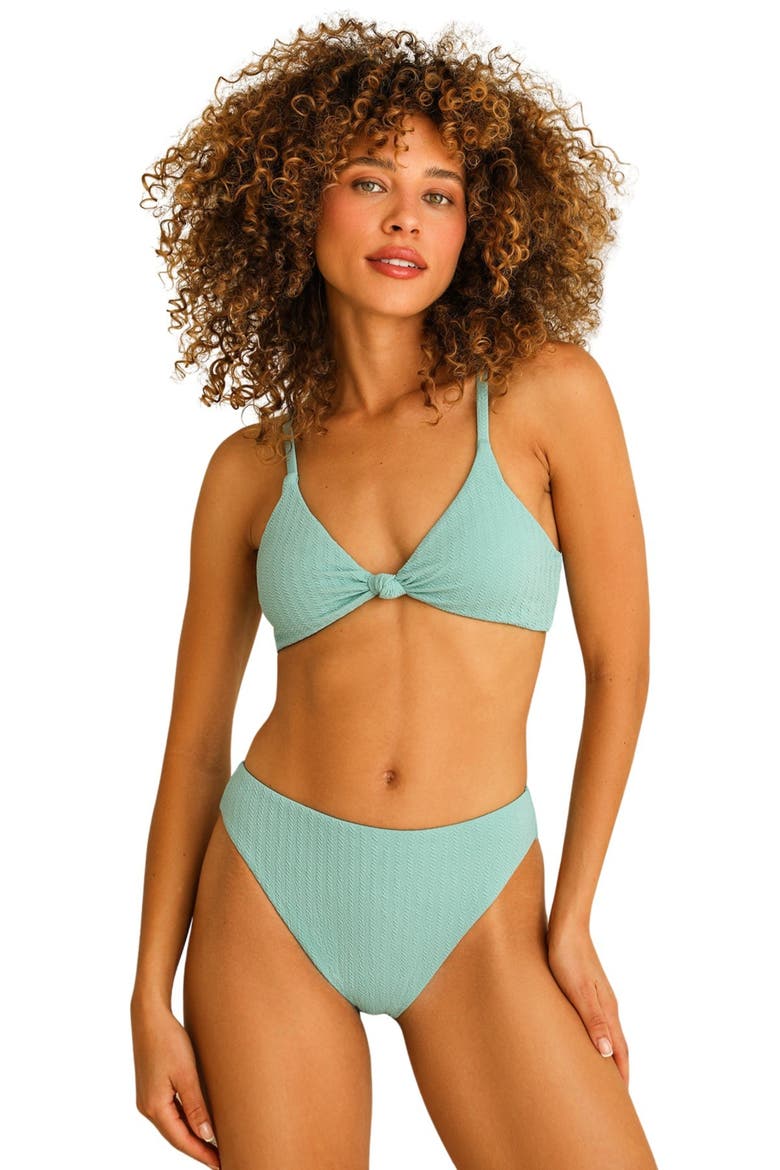 Seashore High Waist Cheeky Bikini Bottom, Main, color, Surf Rider