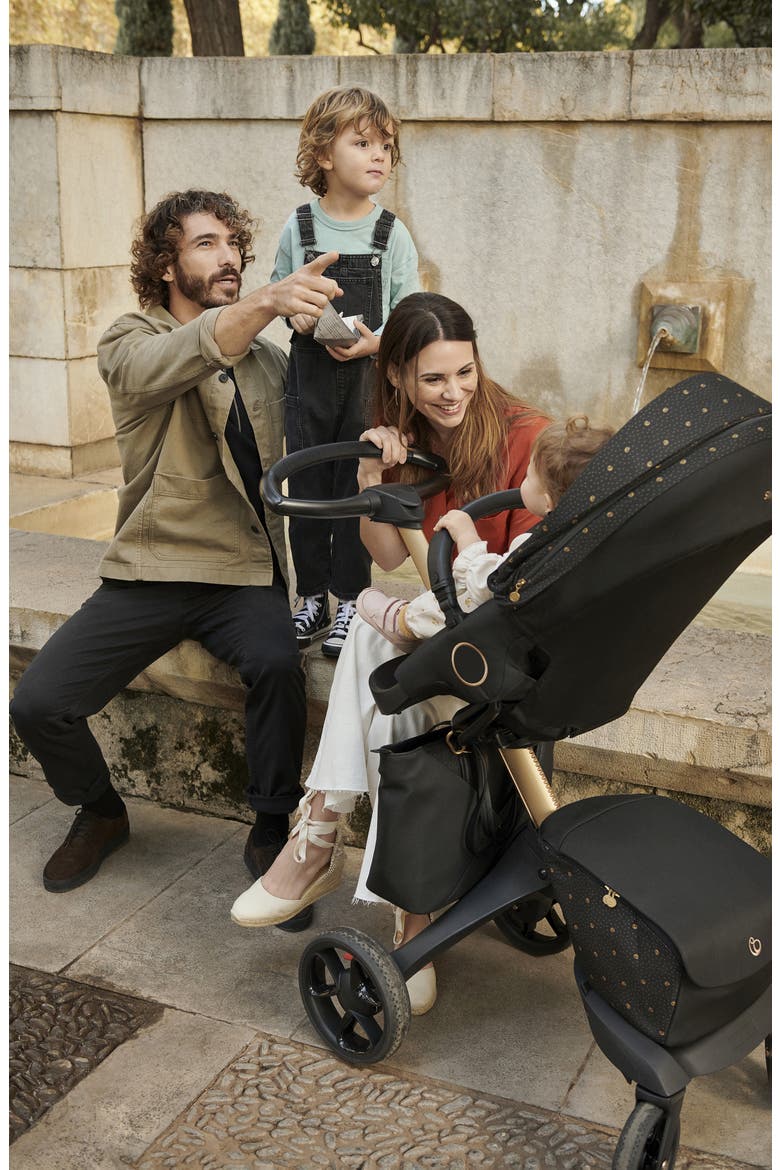 Xplory® X Signature Edition Stroller, Alternate, color, SIGATURE BLACK