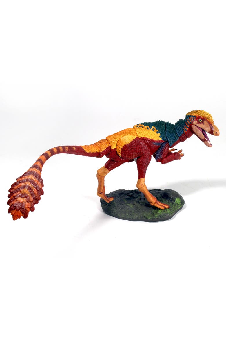 Dilong Paradoxus, Main, color, Multicolored