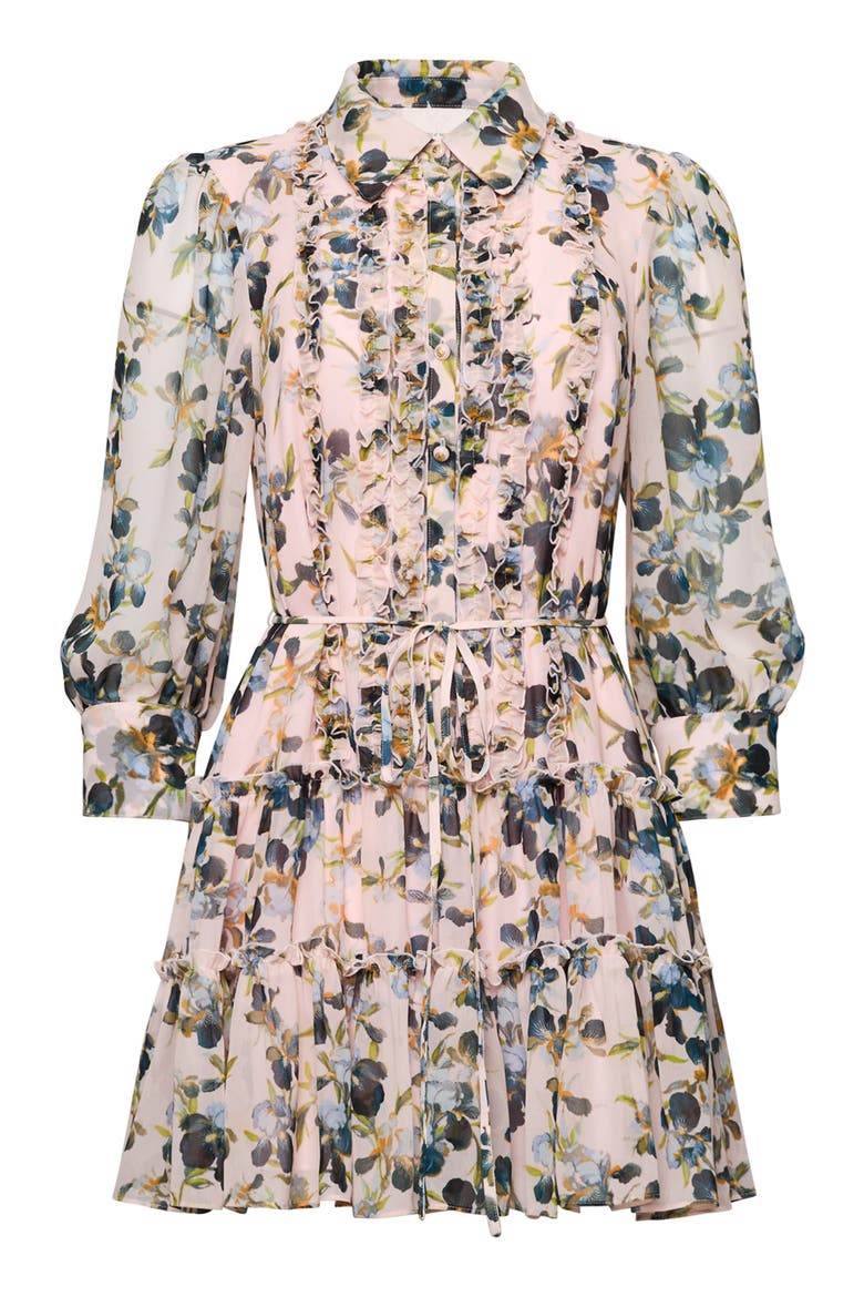 Rhys Trailing Iris Long Sleeve Minidress, Alternate, color, ROSY CLOUD MULTI