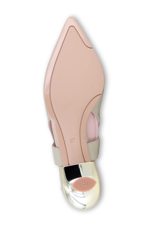 Ayelet By Naot Vida Slingback Pointed Toe Kitten Heel Pump In Brown