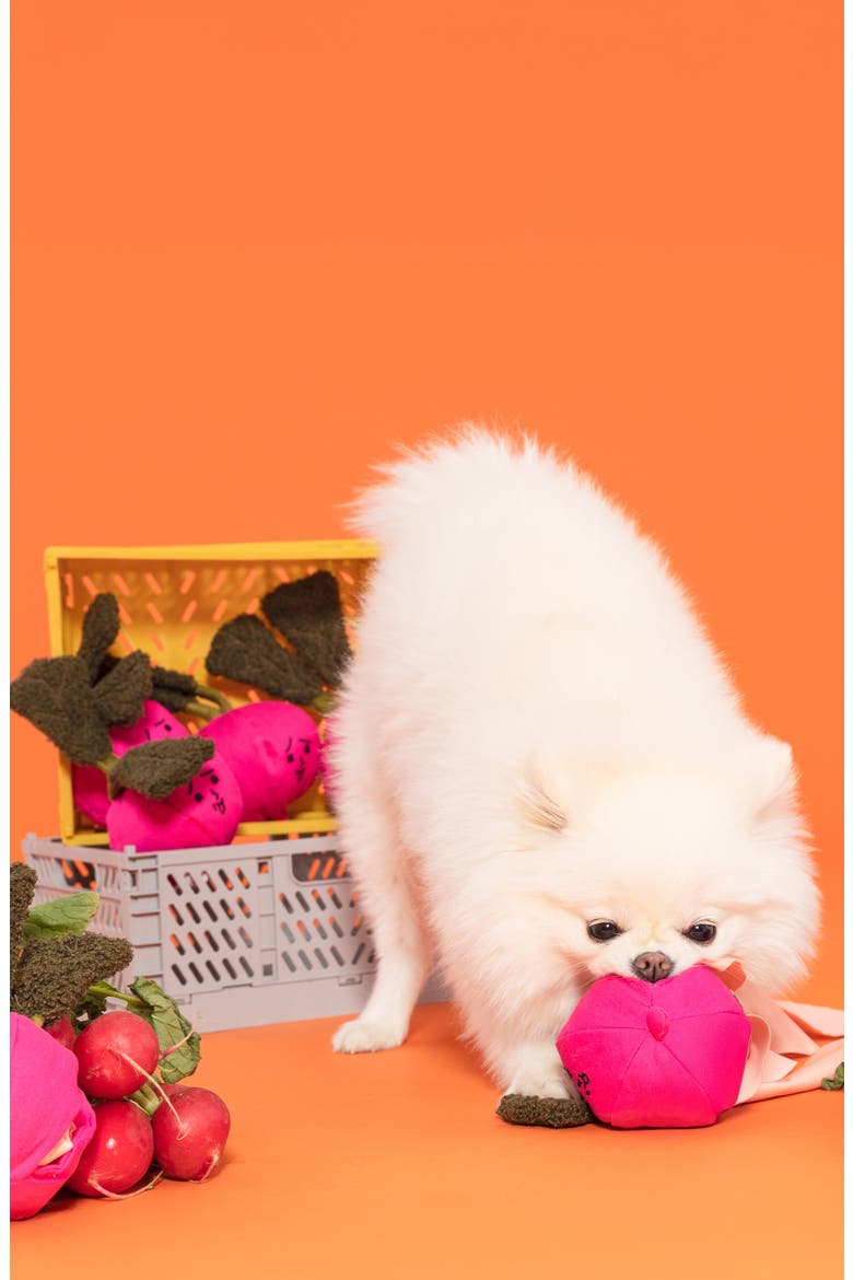 Radish Nosework Toy, Alternate, color, PINK