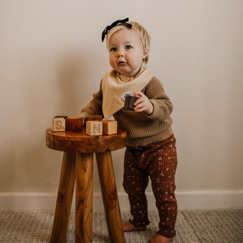 Parker Baby Co. Bandana Bib Set In Vail