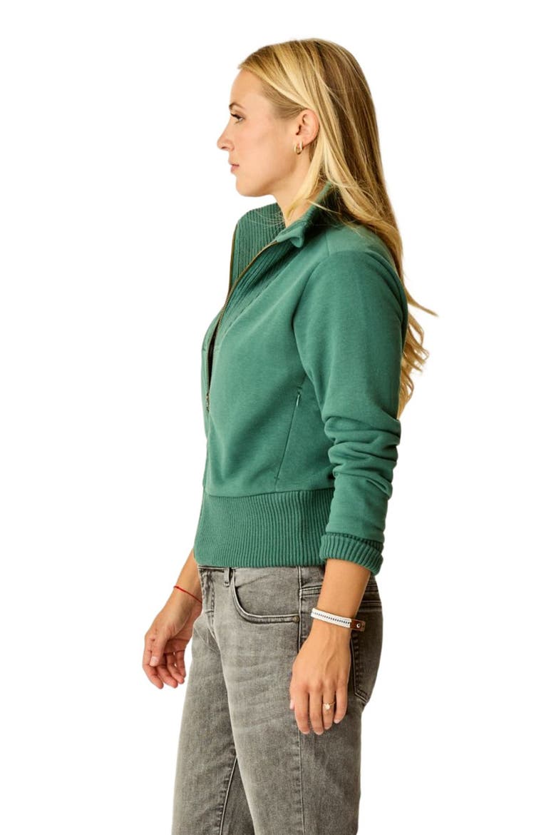 Briar Fleece Jacket, Alternate, color, Bistro
