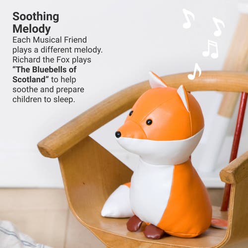 Little Big Friends Musical Animals In Multi