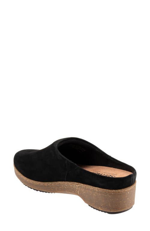 Softwalk ® Arvada Mule In Black Nubuck