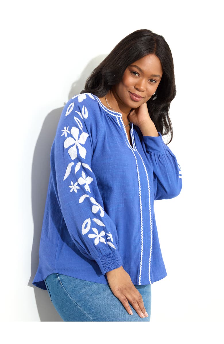 Live Unlimited Embroidered Relaxed Blouse, Main, color, Blue