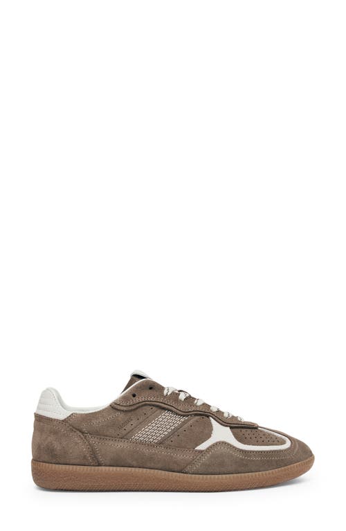 Alohas Tb.490 Rife Sneaker In Brown